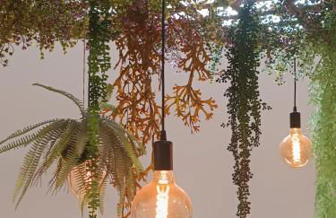 Agua Viva Deluxe - Photo 16