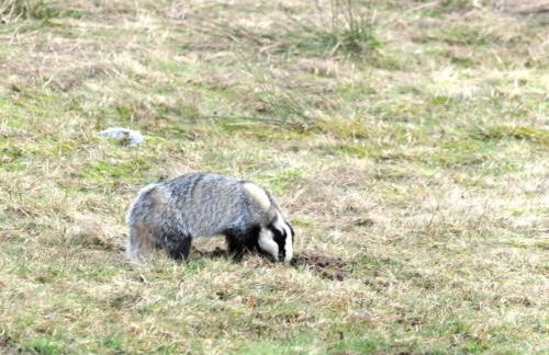 Holiday Apartment Finkennest - Foto 47