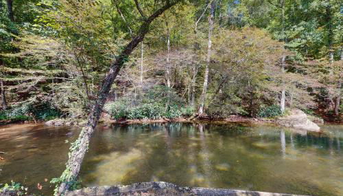 The Bears Den - Photo 2