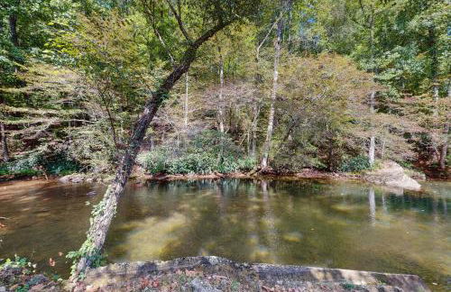 The Bears Den - Foto 2