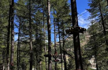 Baby Jane, Studio front de neige - Photo 45