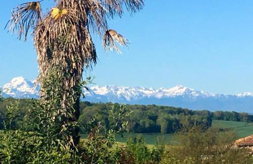 Maison au charme champêtre - Monlaur-Bernet - Photo 74