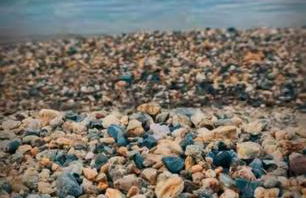 SOGNi DOLCI - Foto 17