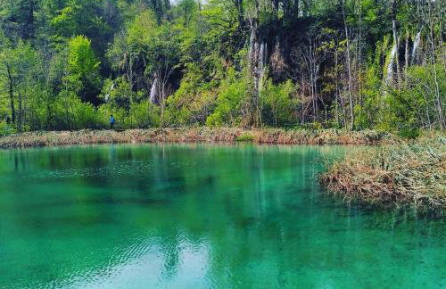 Apartman Katja - Foto 41