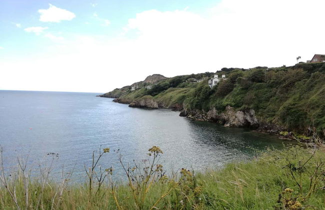 Howth Peninsula Hiking Tour - Photo 3