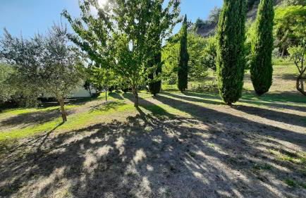 Bio Agriturismo Valle dei Calanchi - Foto 77