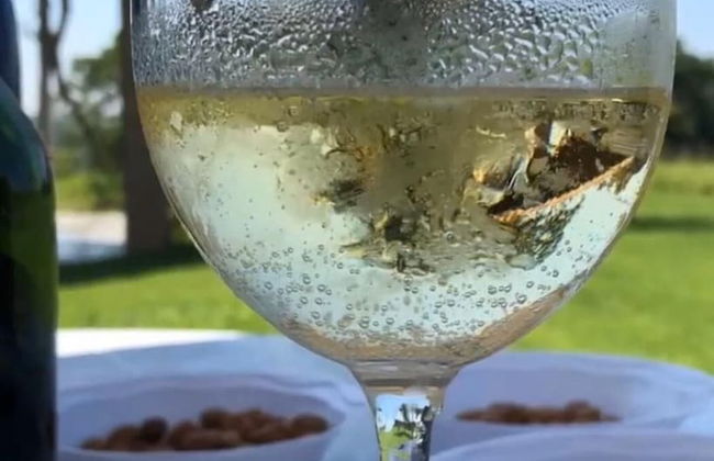 Sítio Refúgio do Alto - Photo 35