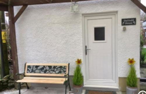 Daffodil House , West Wales - Foto 6