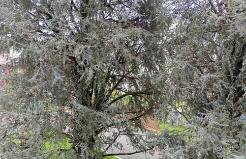 La Casa di Hellen Saronno 1400MT A9 tra MilanoComoFieraMxpMonza - Photo 32