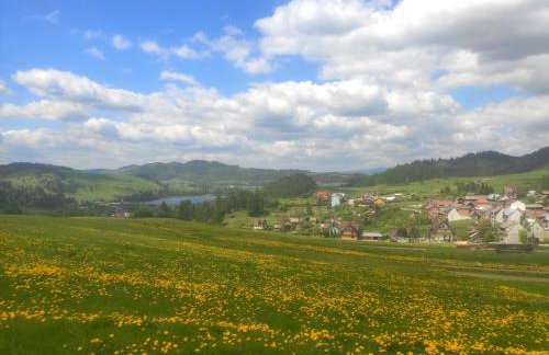 Miedzy Owcami Meeee - Foto 37