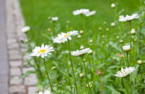 Stadthaus Jürgensby - Foto 23