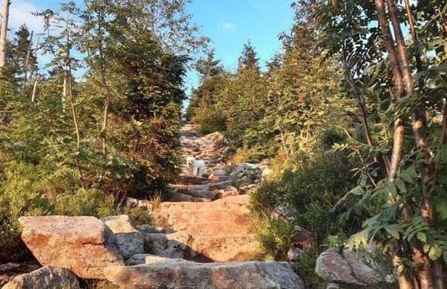 Welcoming Chalet Near Forest in Rohrnbach - Foto 52