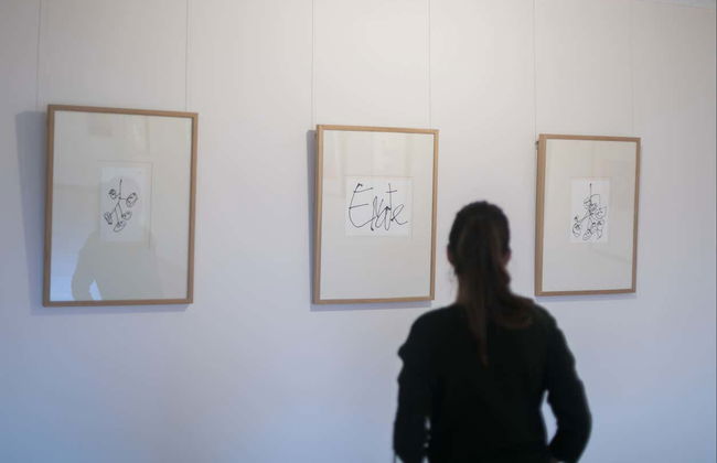 Visit to the ENATE winery - Photo 6