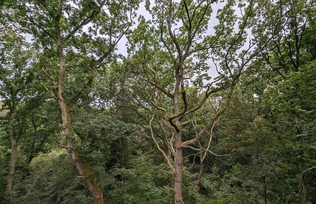 8 Person Holiday Home in Hadsund-by Traum - Photo 8