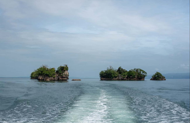 Excursion au Parc National Los Haitises - Photo 4
