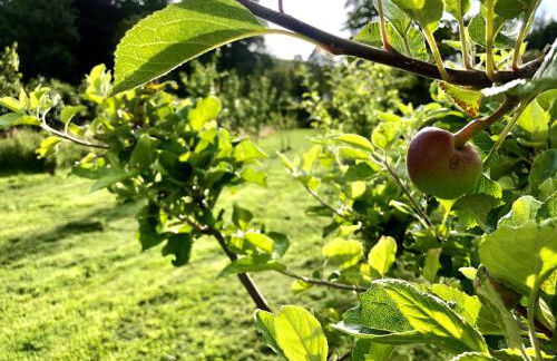 Rabbie Burns Lodge - Photo 37