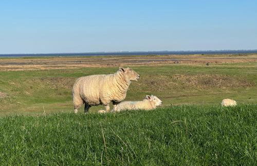 Ferienwohnung Reede 19 - Foto 14