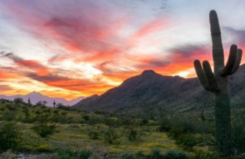 Southwest Mountain View Hideaway, Cozy Comfort at it's Best - Photo 35