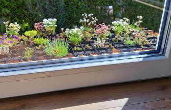 Ferienhaus Adelon - Foto 39