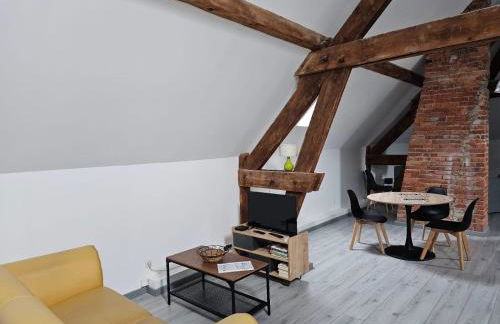 Beaugency-2 sur la route des châteaux - Photo 23