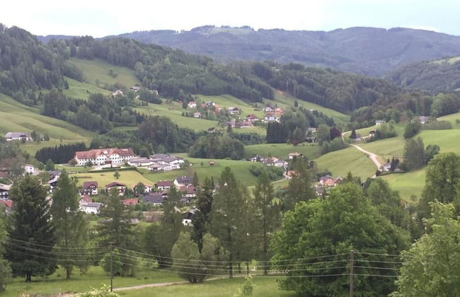 Infanglalm "traunsee" - Foto 41