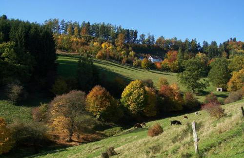 Ferienwohnungen Sonnenpfad - Foto 26