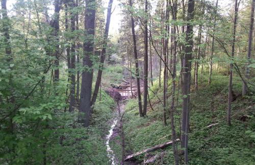 Wiejska Chata - Foto 44