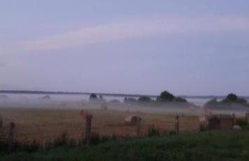 Magico Posto - Foto 50