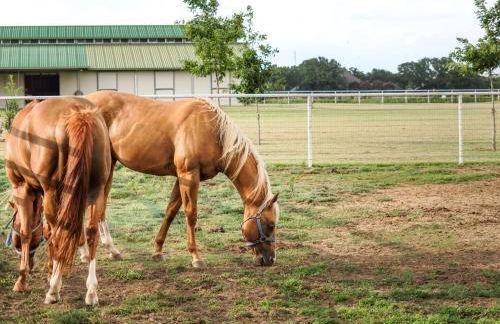 Newly Renovated Private Ranch Get-A-Way - Photo 63