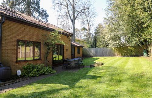 Amberleigh - Foto 33