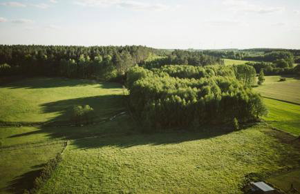 Agroturystyka u Miłosza - Foto 15