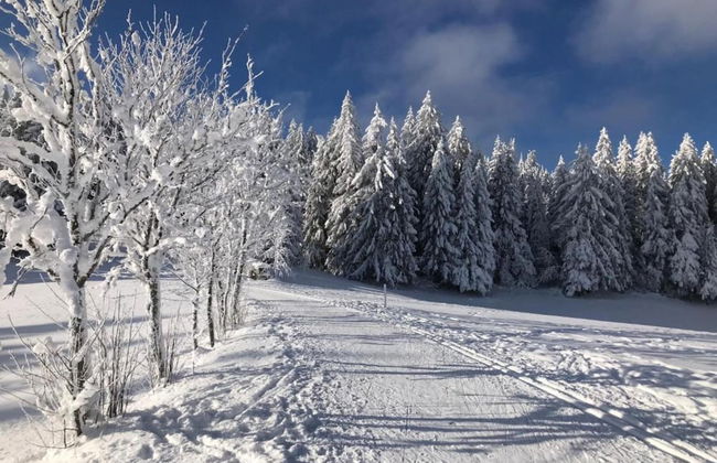 Lush Apartment in Furtwangen near Black Forest with Balcony - Foto 39