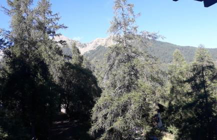 Au Petit Conf'Orres - Photo 3