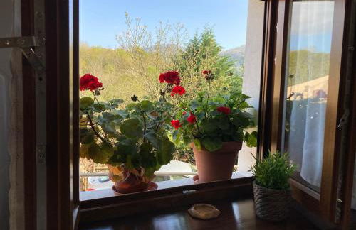 Casa Elena Cangas de Onis con WiFi y parking gratuito - Foto 32