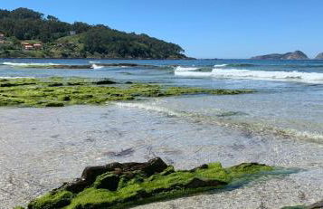 Amplio piso a pie de playa de Patos. Nigrán. - Foto 24