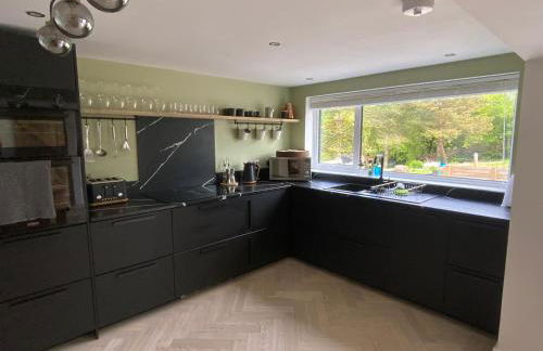 Little Chi - Photo 3