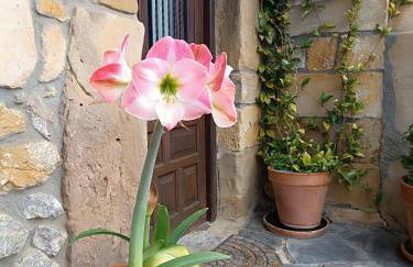 El Coteru - Photo 37