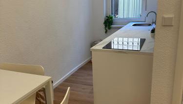 1 Zimmer Apartment St Johannis Nürnberg - Foto 3