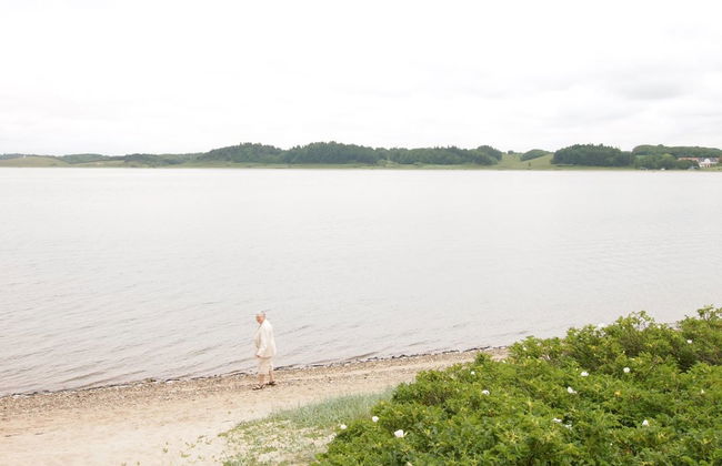 "Anine" - 200m to the fjord - Foto 11