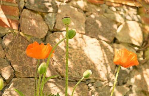 Brennerei Haselberg - Foto 43