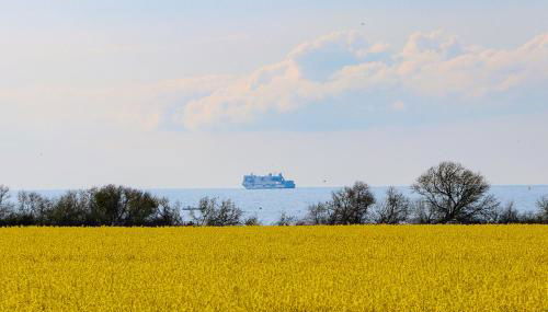 Große Freiheit - Foto 2