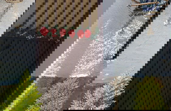 Finca Las Fuentezuelas - Photo 11