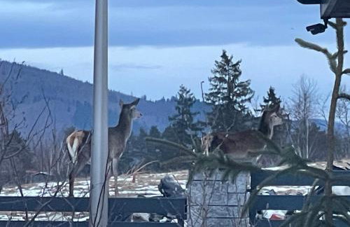 Beskid Penthouse Milówka - Photo 4