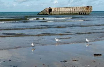La Berlue Bayeux - Foto 66