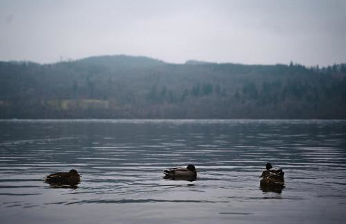 Beautiful 3bed Caravan on Windermere - on White Cross Bay Holiday Park - Photo 43