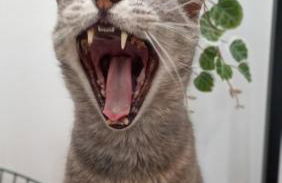 Kanela Guest House B-side - Foto 22