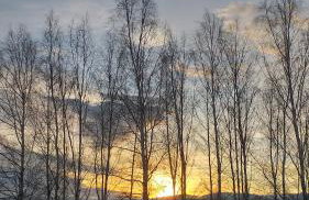 Przytulne Studio Borówkowy Zagajnik - Foto 27