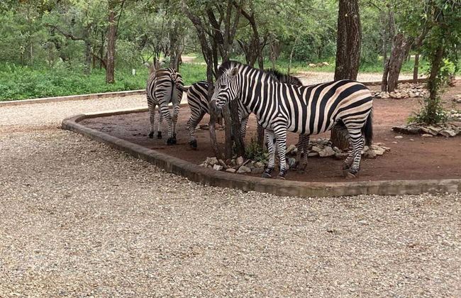 Immaculate 2-bed Cottage in Marloth Park - Photo 9