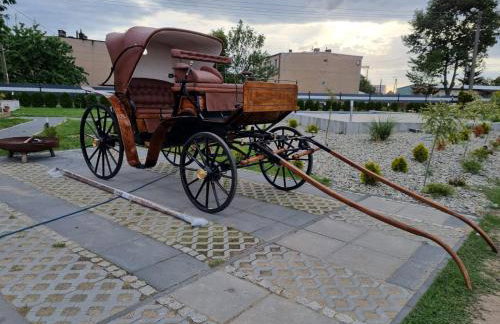 Vigor Horses - Foto 67