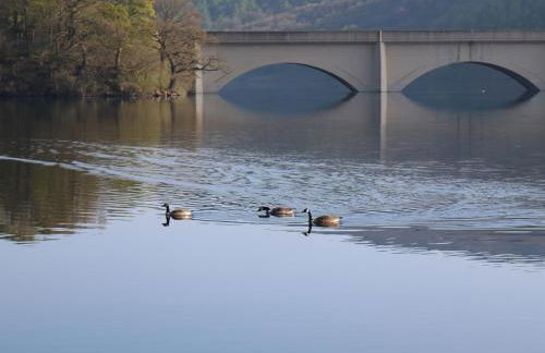 Talbot House - Foto 51